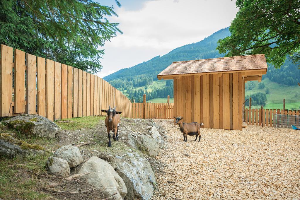 Apartmán Stockhambauer Kleinarl Exteriér fotografie